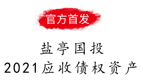 盐亭国投2021应收债权资产项目