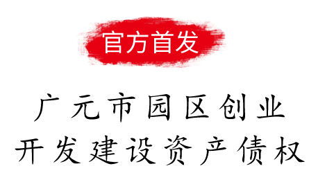 广元市园区创业开发建设资产债权收益权