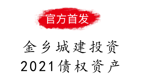 金乡城建投资2021债权资产