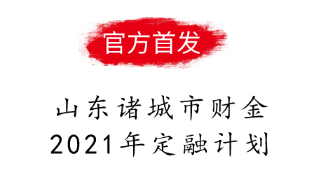 山东诸城市财金2021定融计划