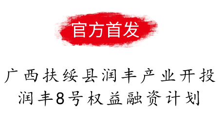 广西扶绥县润丰产业开发投资润丰8号权益融资计划