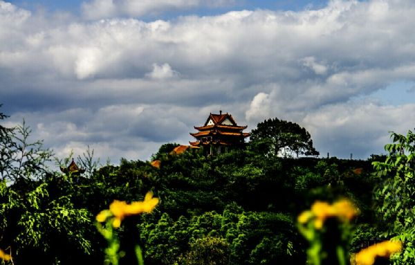 四川蓬安-四川蓬鑫投资发展资产债券