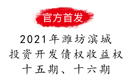 2021年潍坊滨城投资开发债权收益权十五期、十六期