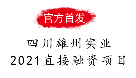 四川雄州实业2021直接融资项目