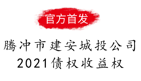 腾冲市建安城投公司2021债权收益权