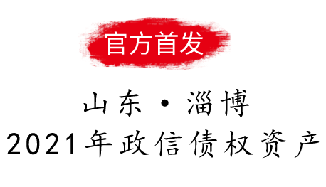 山东淄博2021年政信债权资产