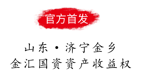 山东济宁金乡金汇国资资产收益权