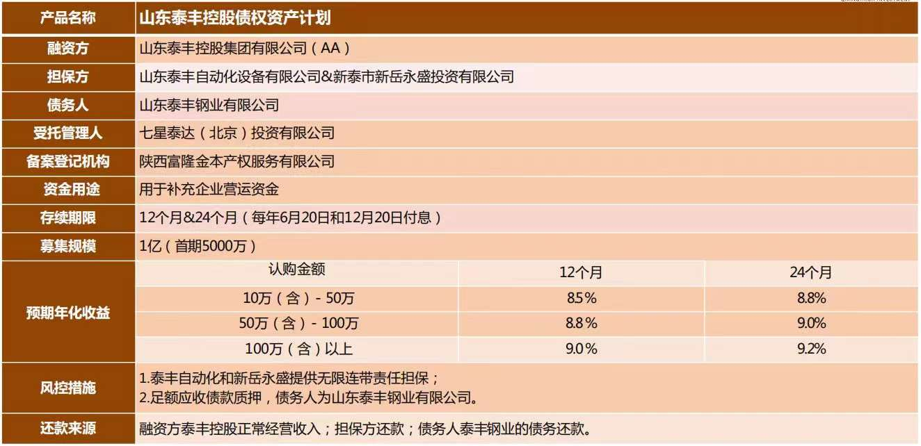 山东新泰市2021定融计划