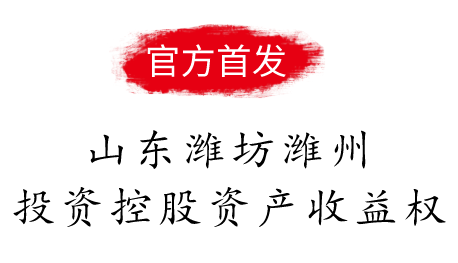 山东潍坊潍州投资控股资产收益权