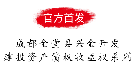 成都金堂县兴金开发建投资产债权收益权