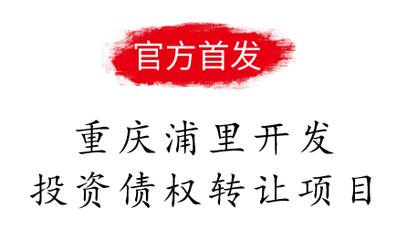 重庆浦里开发投资债权转让项目