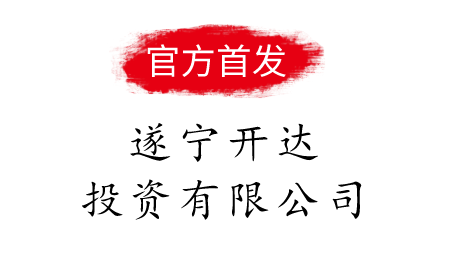 四川遂宁开达2021年债权