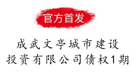 成武文亭城市建设投资有限公司债权1期