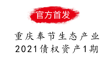 重庆奉节生态产业2021债权资产