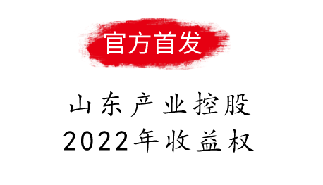 山东产业控股2022年收益权