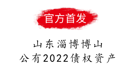 山东淄博博山公有2022债权资产