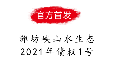 山东潍坊峡山水生态2021年债权1号