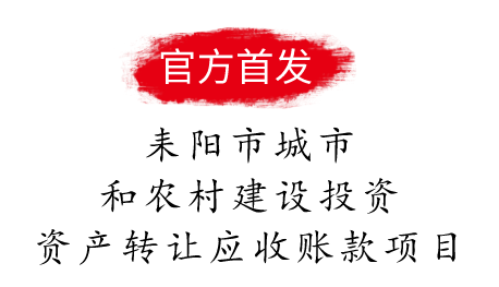 耒阳市城市和农村建设投资有限公司资产转让（应收账款）项目