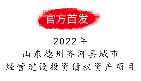 2022年齐河县城市经营建设投资有限公司债权资产项目