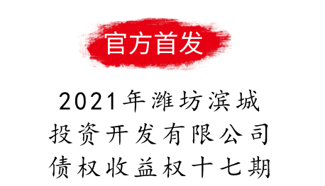 2021年山东潍坊滨城投资开发有限公司债权收益权十七期