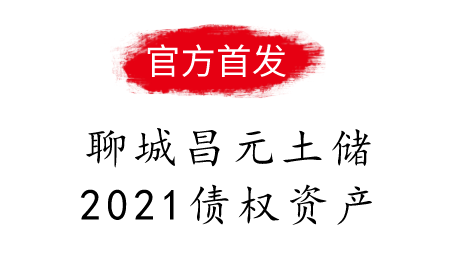 聊城昌元土储2021债权