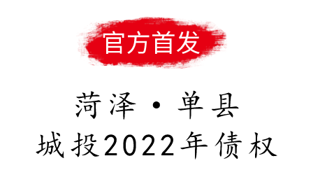 菏泽单县城投2022年债权