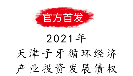 2021年天津子牙循环经济产业投资发展有限公司债权融资计划惠民一号