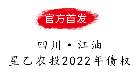 四川江油星乙农投2022年债权