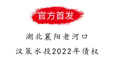 湖北襄阳老河口汉策水投2022年债权